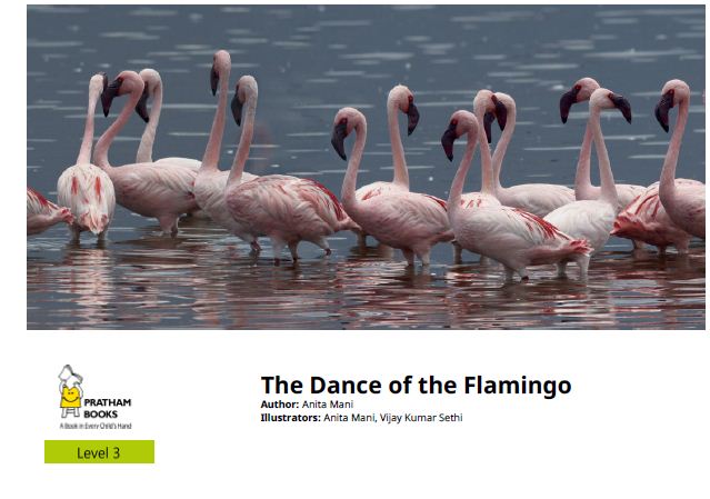 The dance of the Flamingo