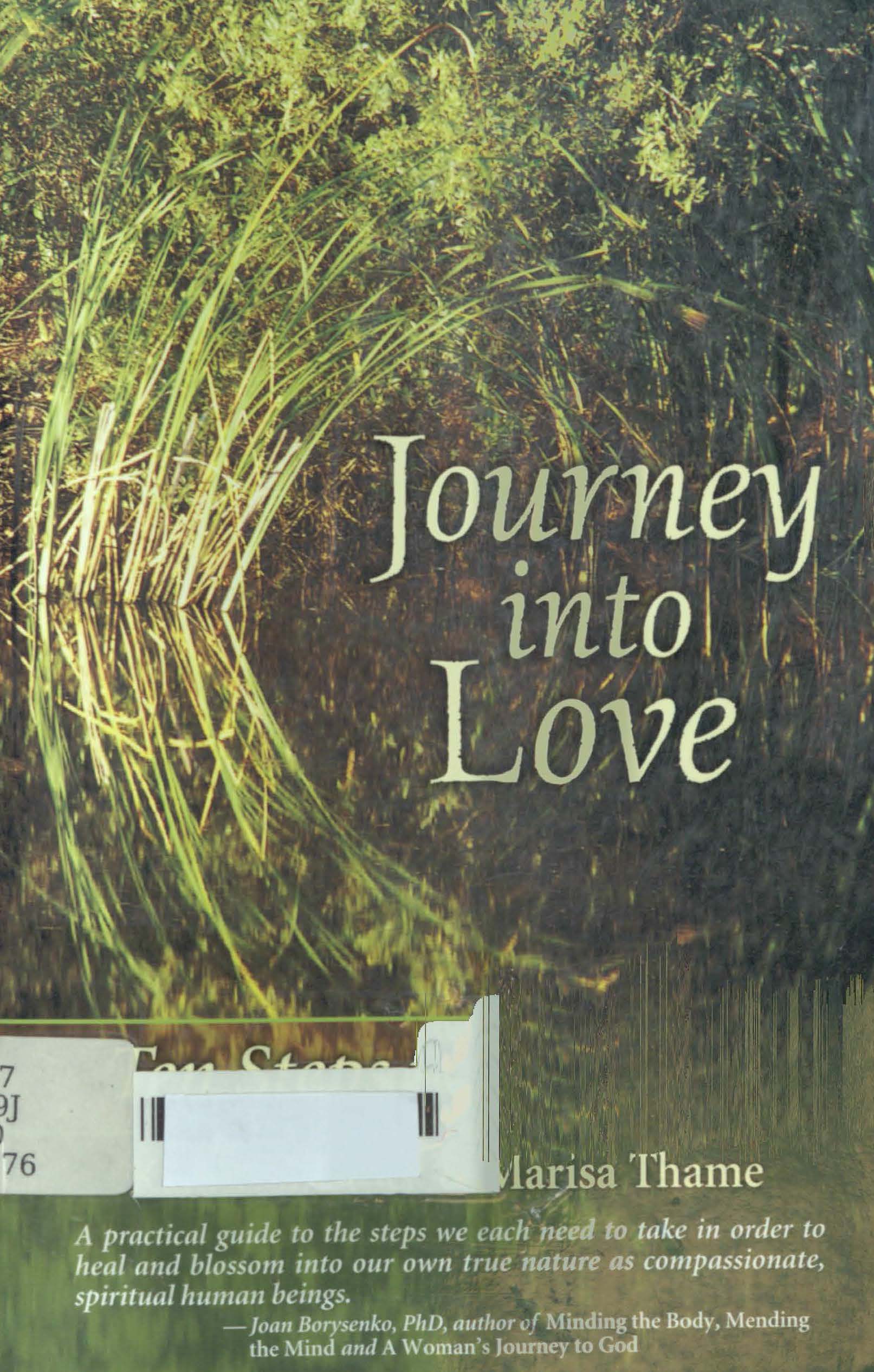 Journey into love