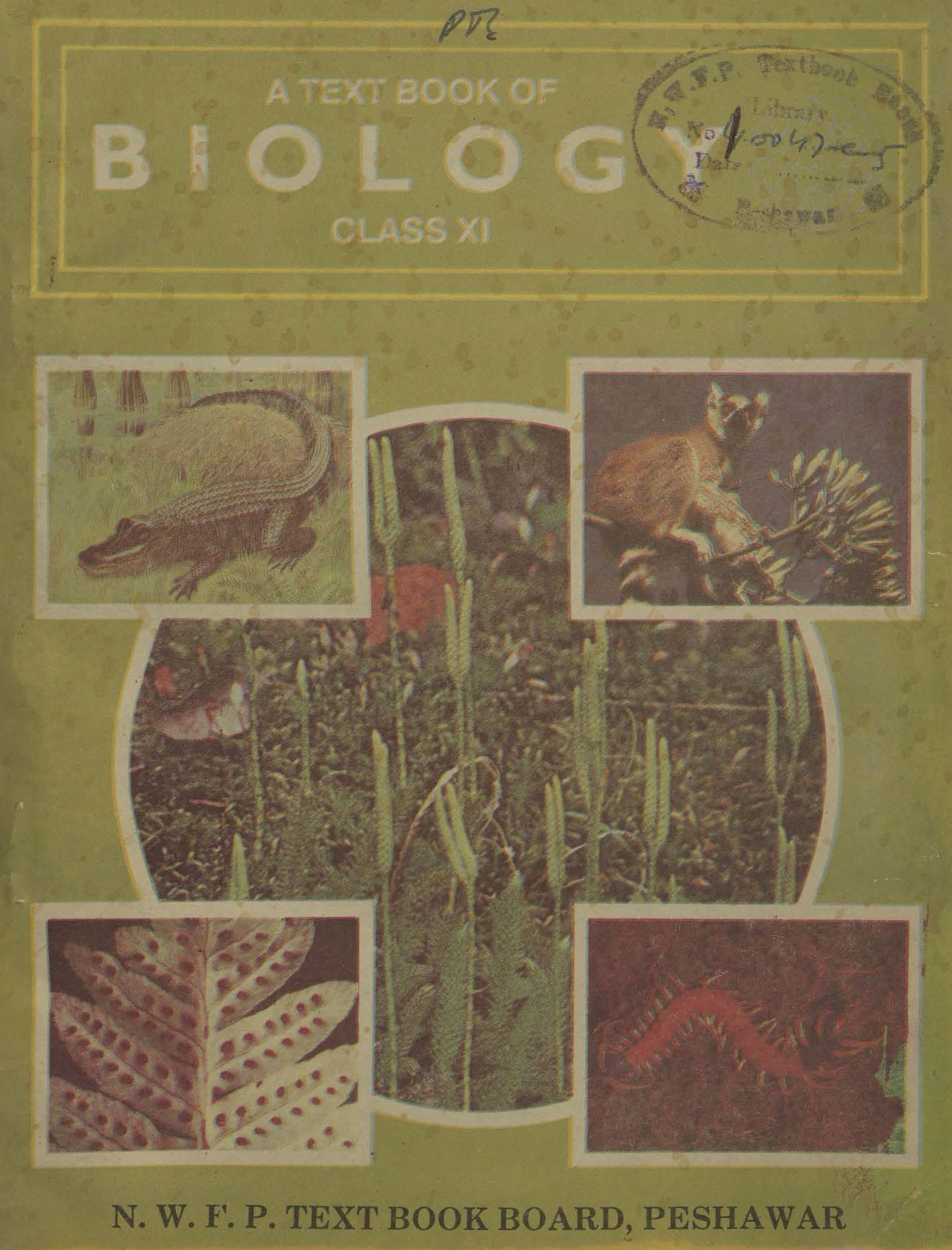 A Textbook of biology for class 11